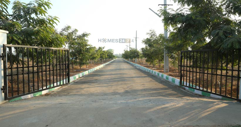 Sark Green Space-cover-06